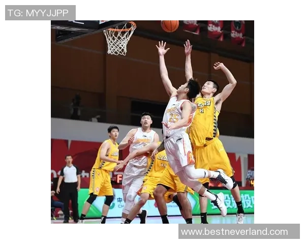 篮球巨献：探秘深圳篮球队的实力